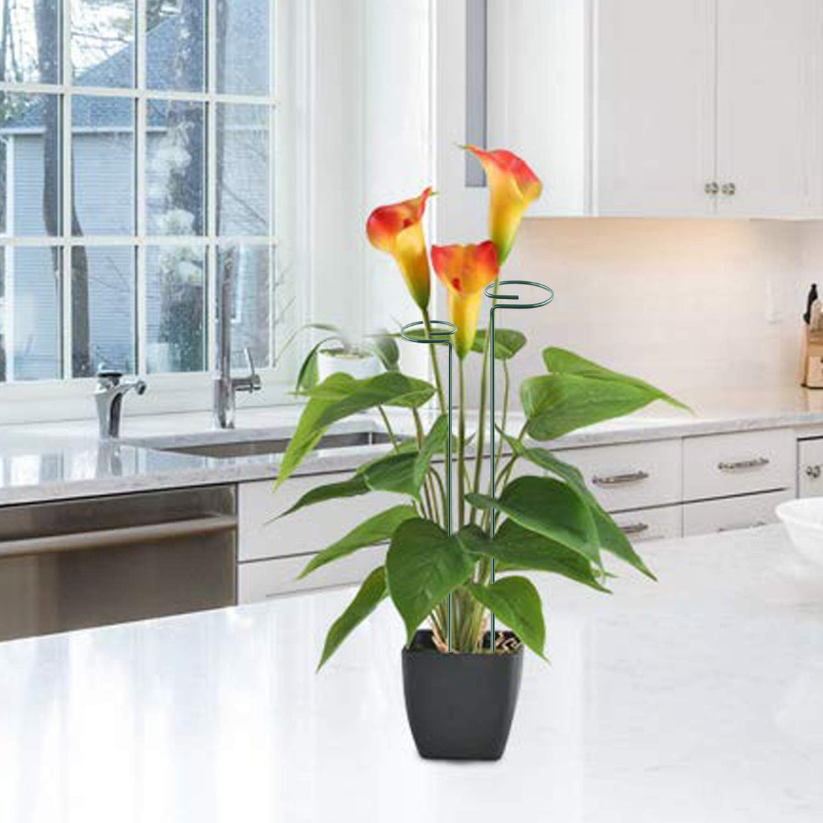 RAIKEDR monstera leaves propped without damage.