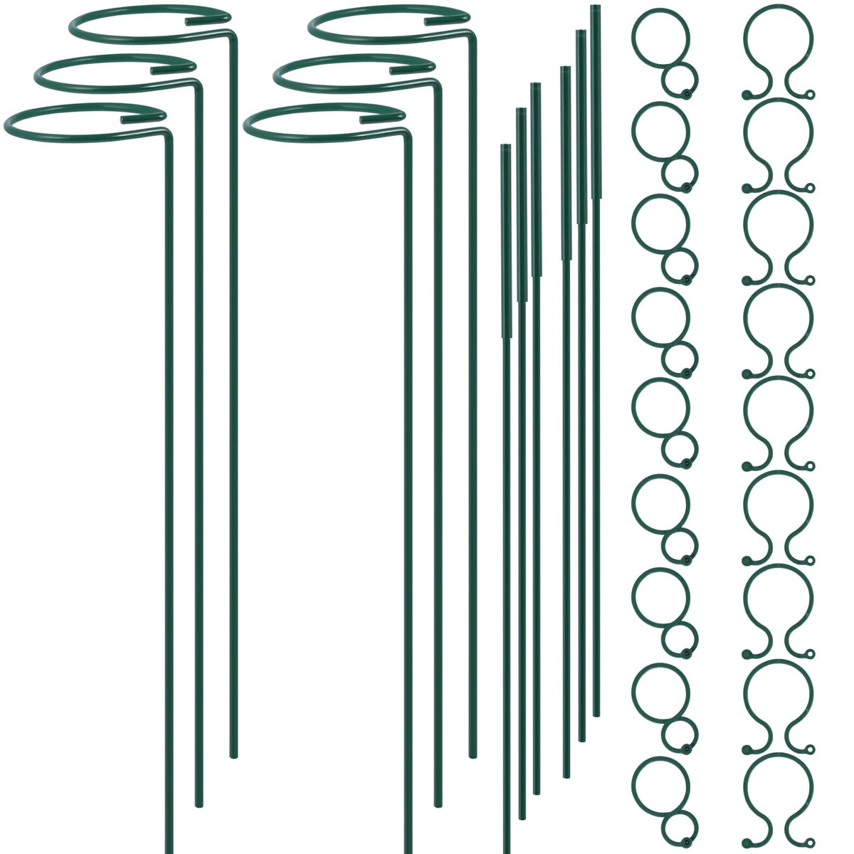 RAIKEDR plant stake 12inch provides sturdy support for single stems.