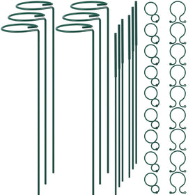 RAIKEDR plant stake 12inch provides sturdy support for single stems.