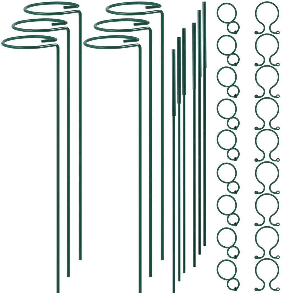 RAIKEDR plant stake 12inch provides sturdy support for single stems.