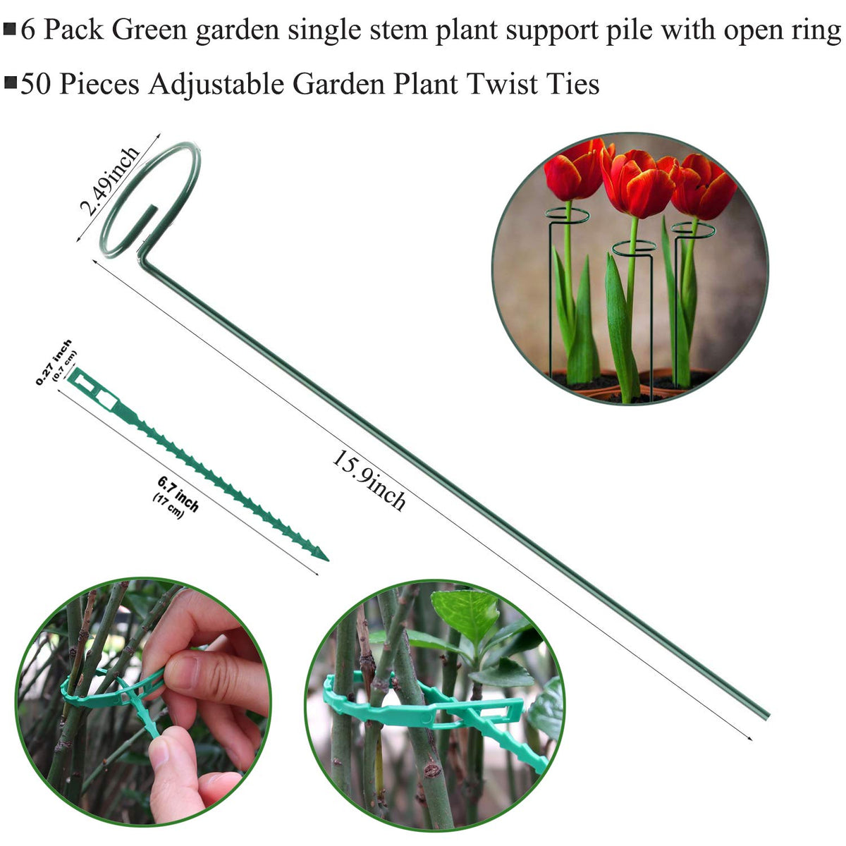 RAIKEDR hoop cage stake shown for neat plant containment.