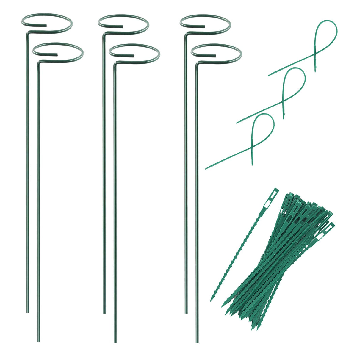 RAIKEDR plant stake with hoop cage supports small stems upright.