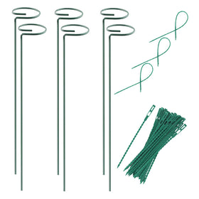 RAIKEDR plant stake with hoop cage supports small stems upright.