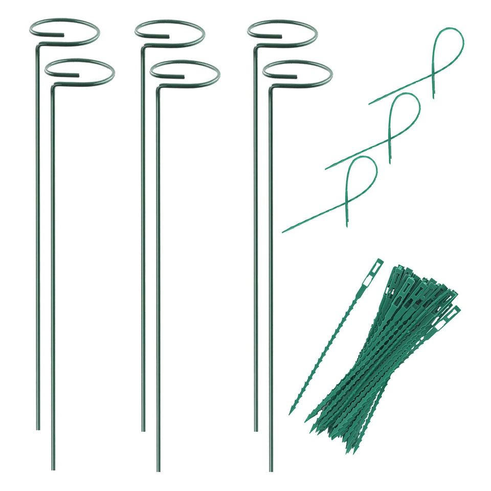 RAIKEDR plant stake with hoop cage supports small stems upright.