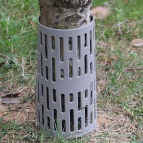 RAIKEDR expandable diameter view highlights growth with the tree.