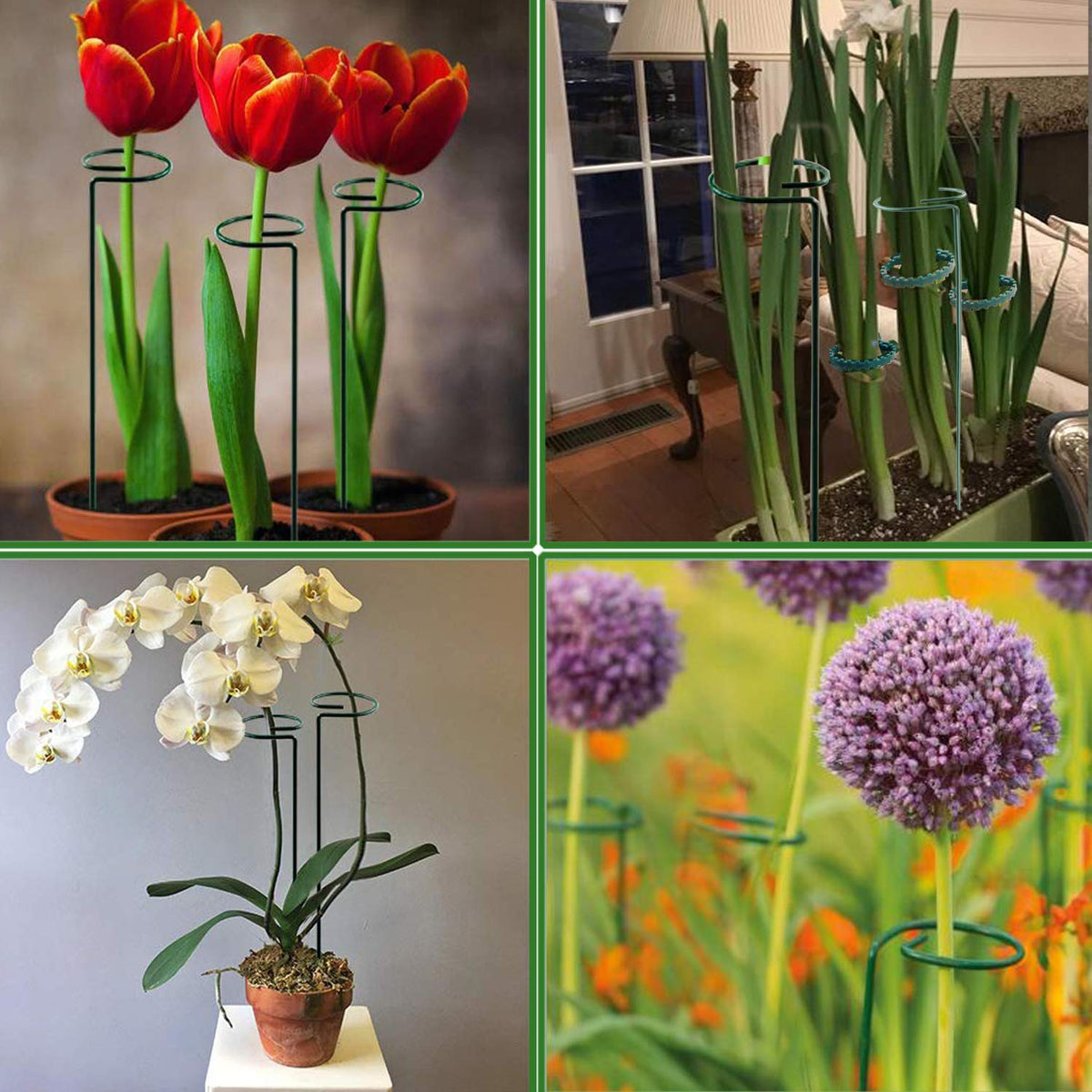 RAIKEDR rose and tomato support with easy installation.