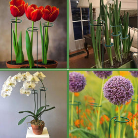 RAIKEDR rose and tomato support with easy installation.