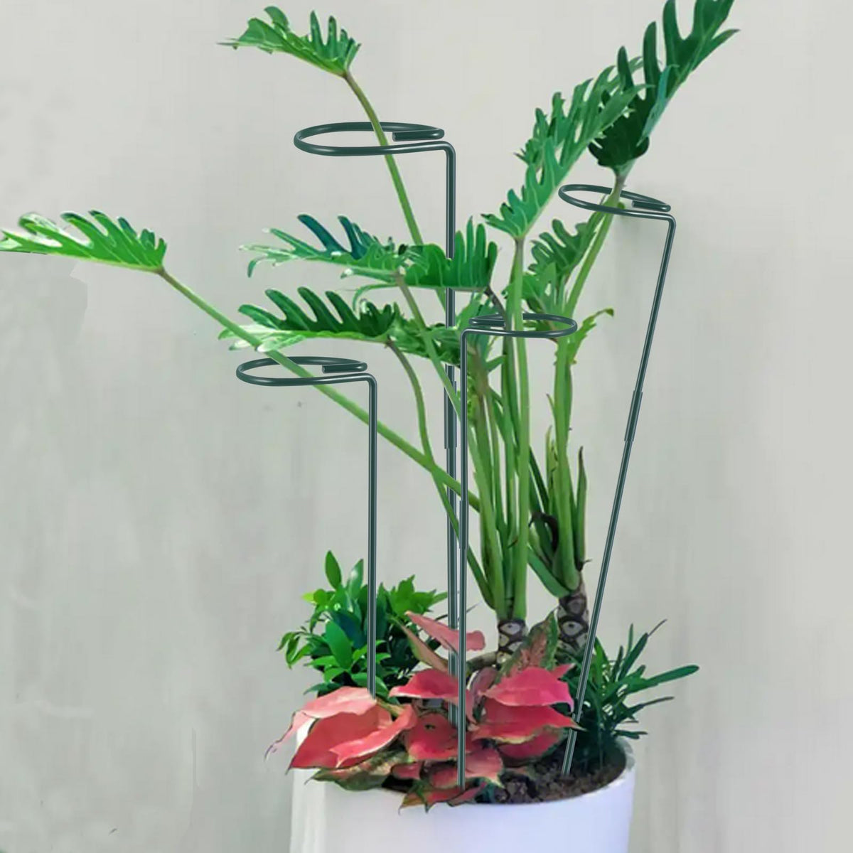 RAIKEDR twist ties 20pc secure vines without harming stems.