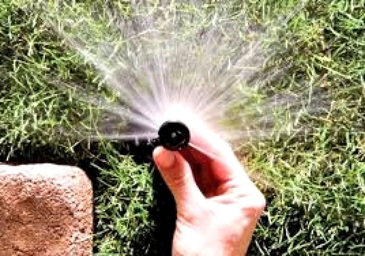 Spray reach up to 15 ft for even coverage.