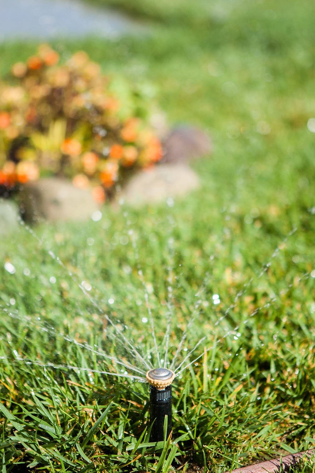 Rain Bird 1800 Series body offers reliable, heavy-duty irrigation construction
