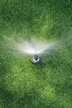 Rain Bird 1804HV15PR works at low pressure for efficient watering