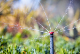 Rain Bird 24RNVAPRO ideal for low-water-pressure slopes and compacted soils
