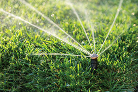 Rain Bird 24RNVAPRO wind-resistant coverage across breezy landscaping
