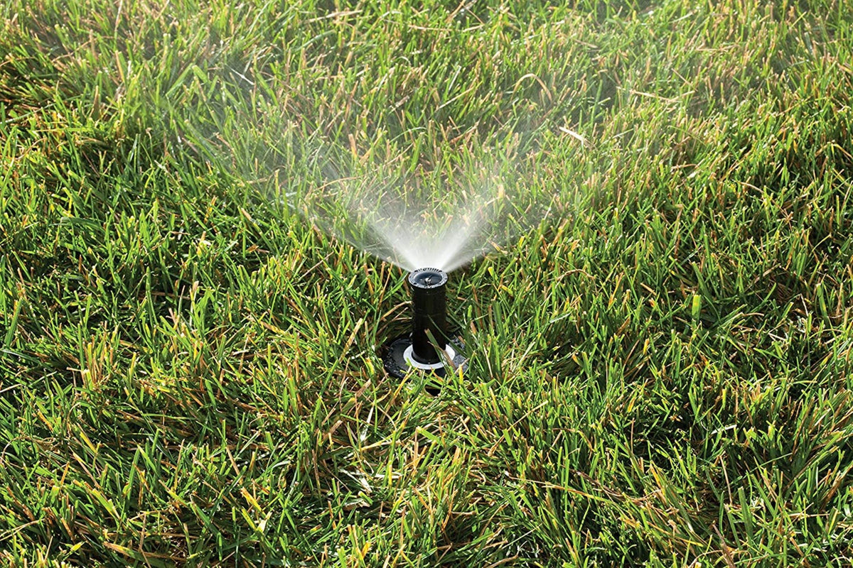 Rain Bird 4-inch pop-up height keeps heads unobtrusive while delivering reliable coverage