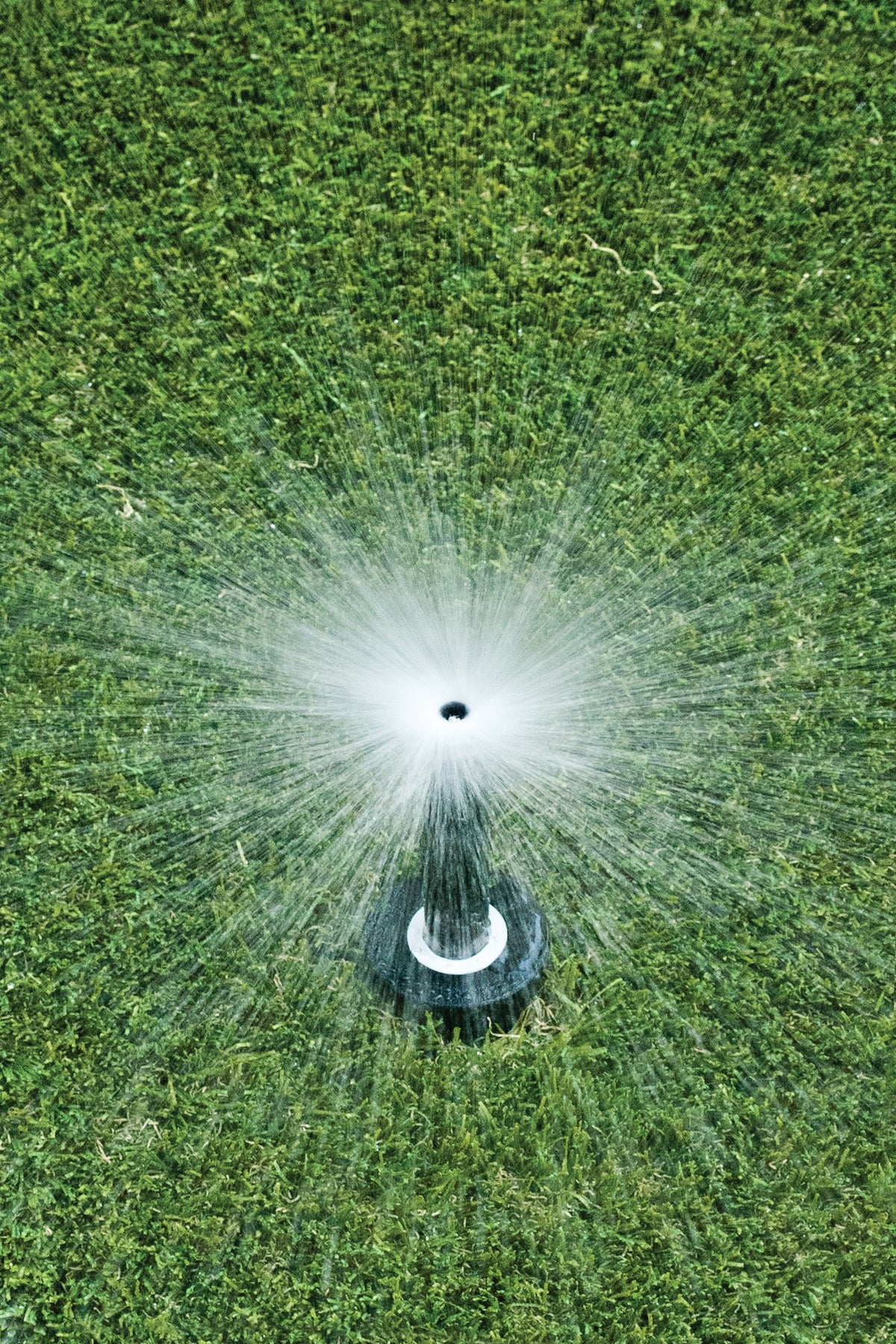 Rain Bird 1804FDSP25 4-inch pop-up height supports debris clearance and reliable retraction.