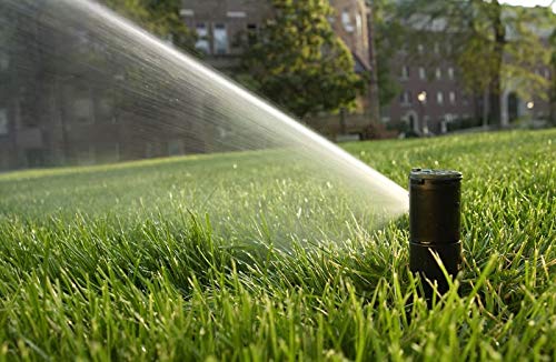 Rain Bird 5000 closed-case design protects internals from debris and creeping grasses.