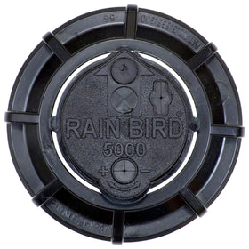 Rain Bird 5004 PC lawn irrigation installation on a sunny yard