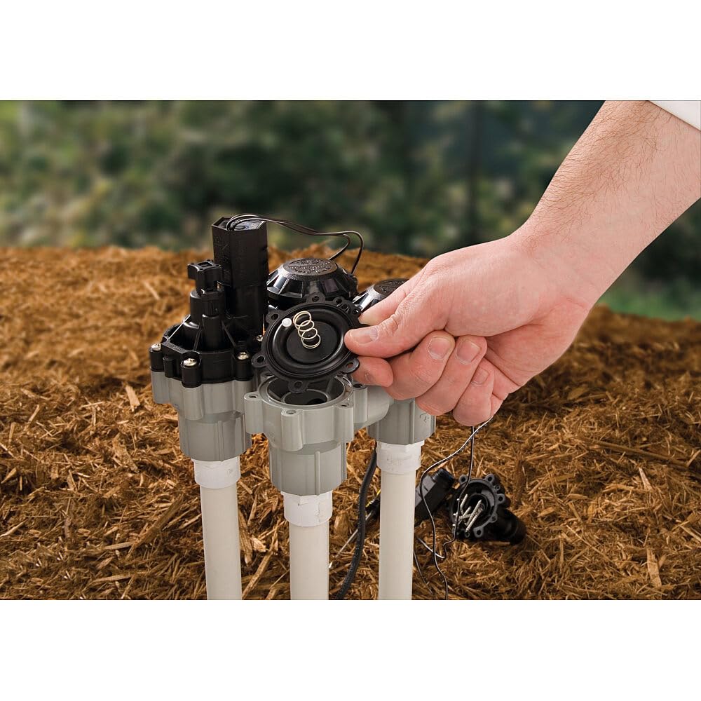 Rain Bird DASASVF075 3/4-inch inlet and outlet connections for standard irrigation piping.