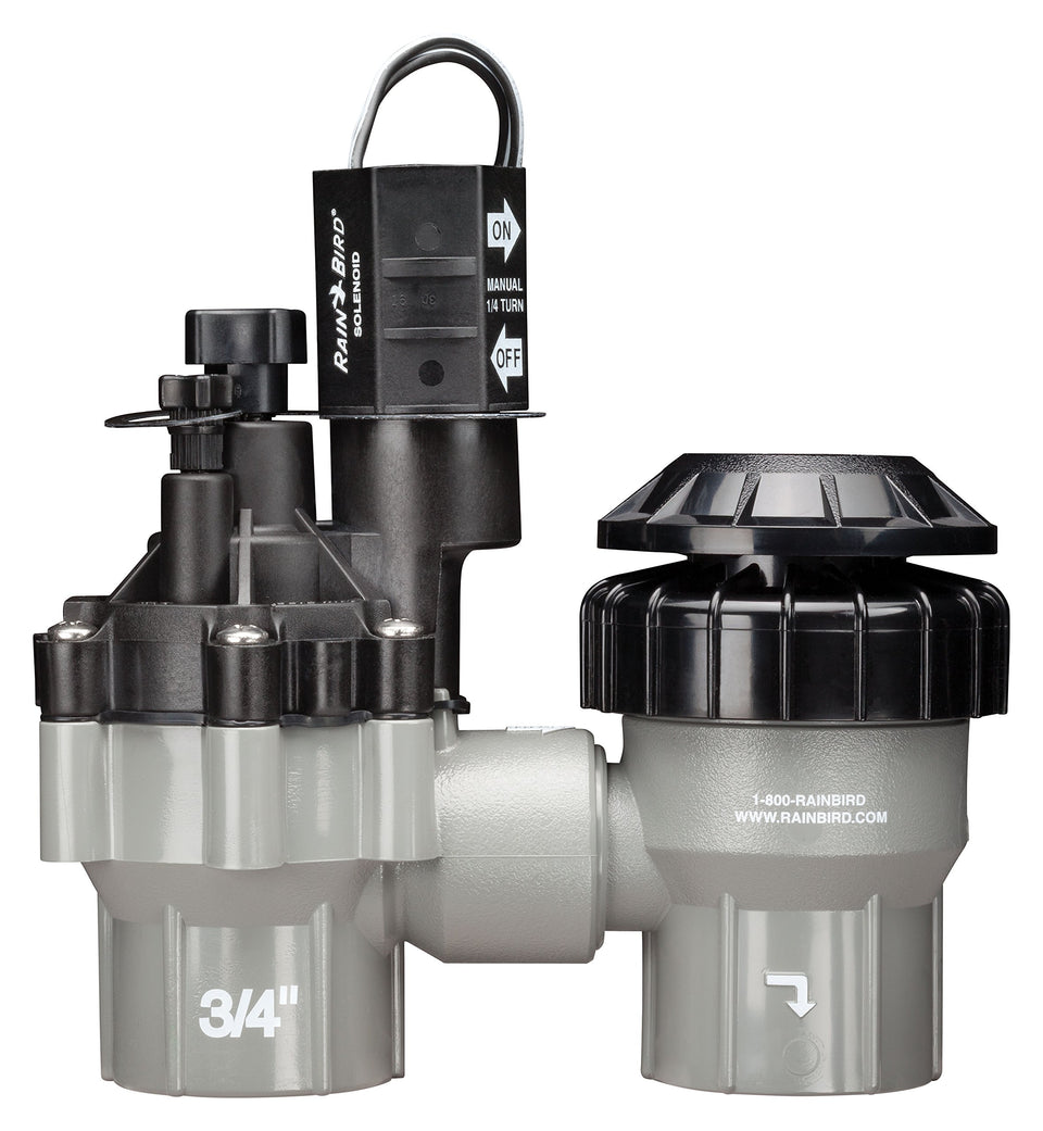 Rain Bird DASASVF075 anti-siphon valve exterior view preventing backflow in above-ground setups.