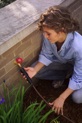 Rain Bird FCKIT-1PK garden setup highlights water-saving drip irrigation.