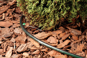 Rain Bird FE40-25S barbed ends fit 1/2 inch and 1/4 inch tubing for quick installs