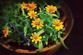 Rain Bird PatioKit mounting clips secure tubing along surfaces for neat irrigation.