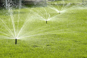 Rain Bird R-VAN rotary nozzle ensures uniform water distribution across the pattern