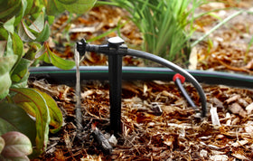 Rain Bird SW20-30PS emitter connected to tubing with secure, leak-proof fit.