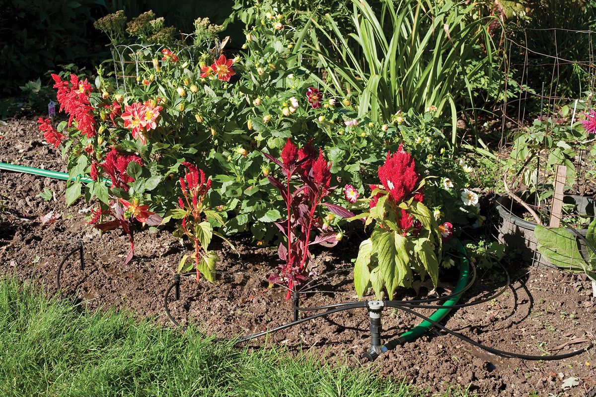 Rain Bird SWDMSPKIT spot emitter provides precise moisture for small plants.