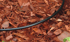 Rain Bird T22-250S tubing near fittings shows secure, leak resistant connections