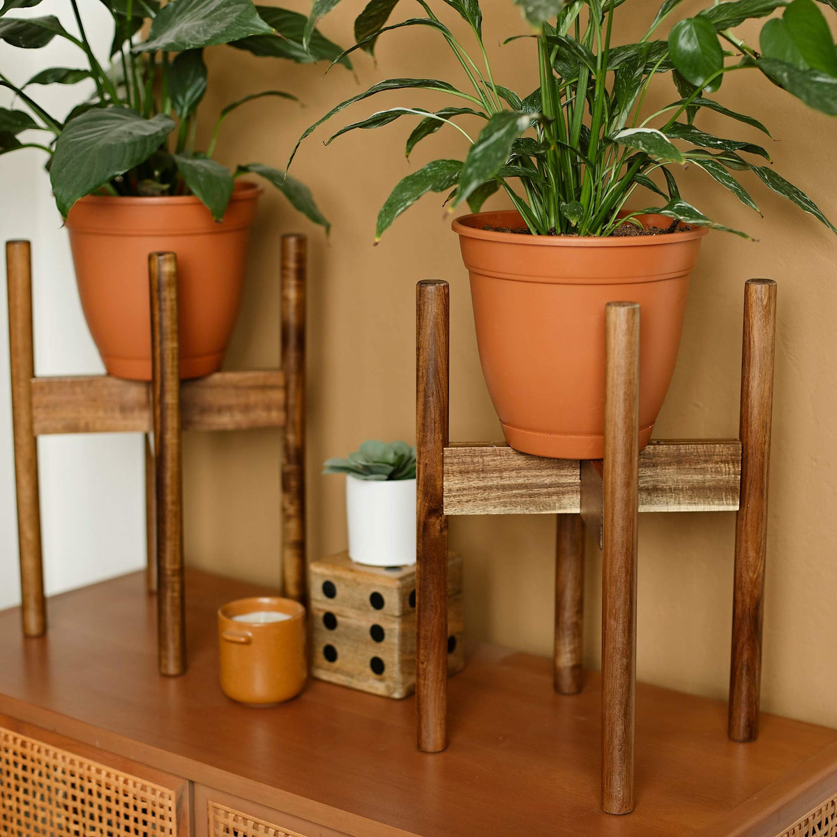 RAINBLELAND sturdy 150 lb capacity supports heavy pots with reliable stability.