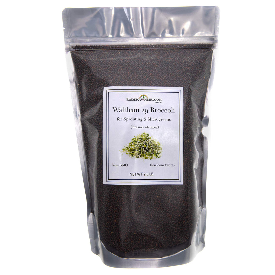 Rainbow Heirloom Seed Co broccoli sprouts bag for easy home sprouting and fresh greens