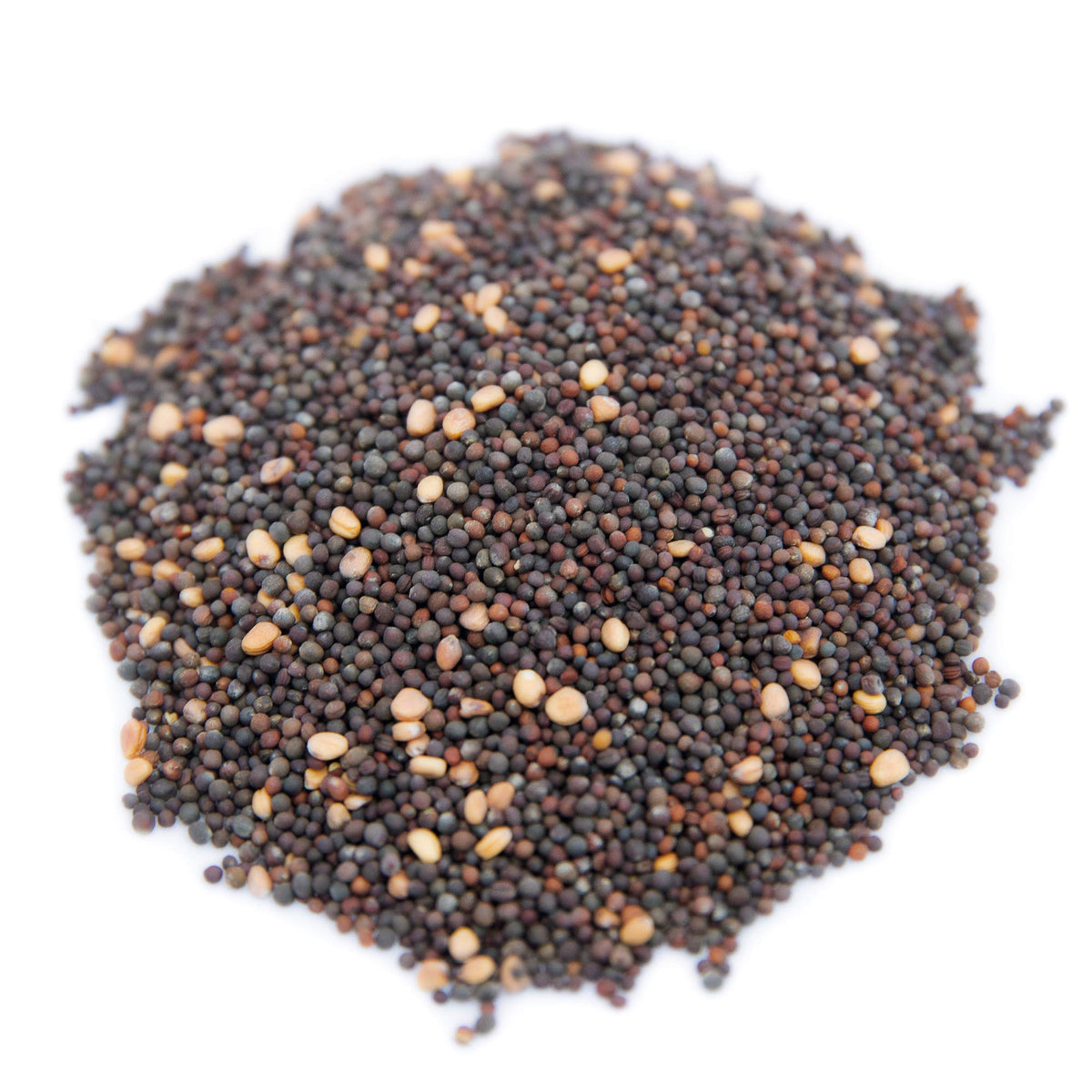 Rainbow Heirloom Seed Co. Broccoli sprouts add crunchy bite and bright greens.