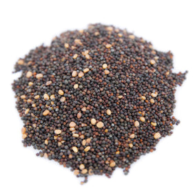 Rainbow Heirloom Seed Co. Broccoli sprouts add crunchy bite and bright greens.