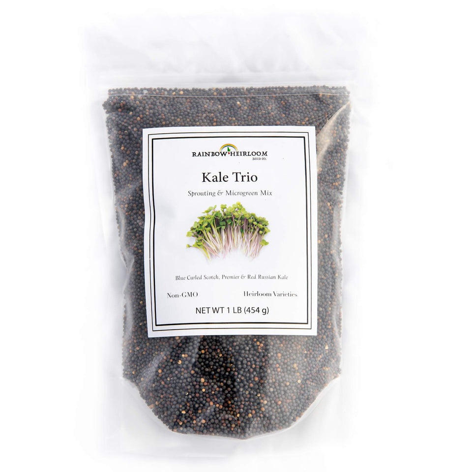 Rainbow Heirloom Seed Co. Kale Trio Sprouting Mix in a resealable bag for microgreens.