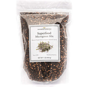 Rainbow Heirloom Seed Co. Purple Kohlrabi sprouts add color and crunch to fresh microgreens.