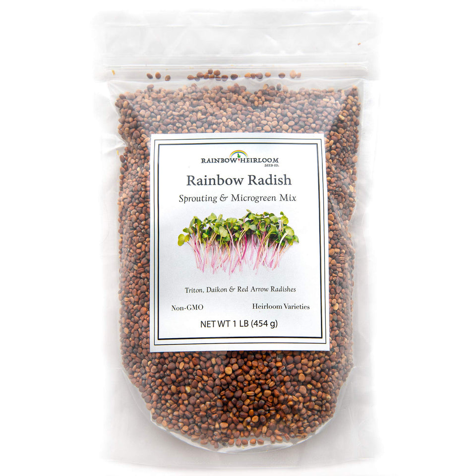 Rainbow Heirloom Seed Co. Rainbow Radish Sprouting Mix in 1 lb bag for vibrant sprouts