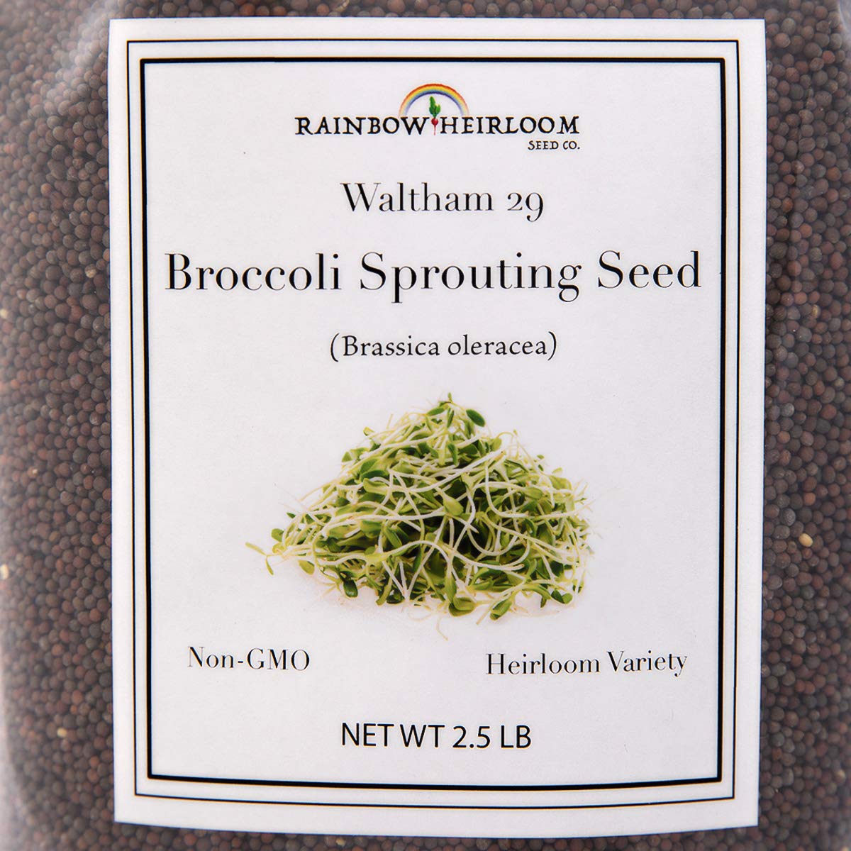 Rainbow Heirloom Seed Co broccoli seeds closeup prompts reliable germination for sprouts