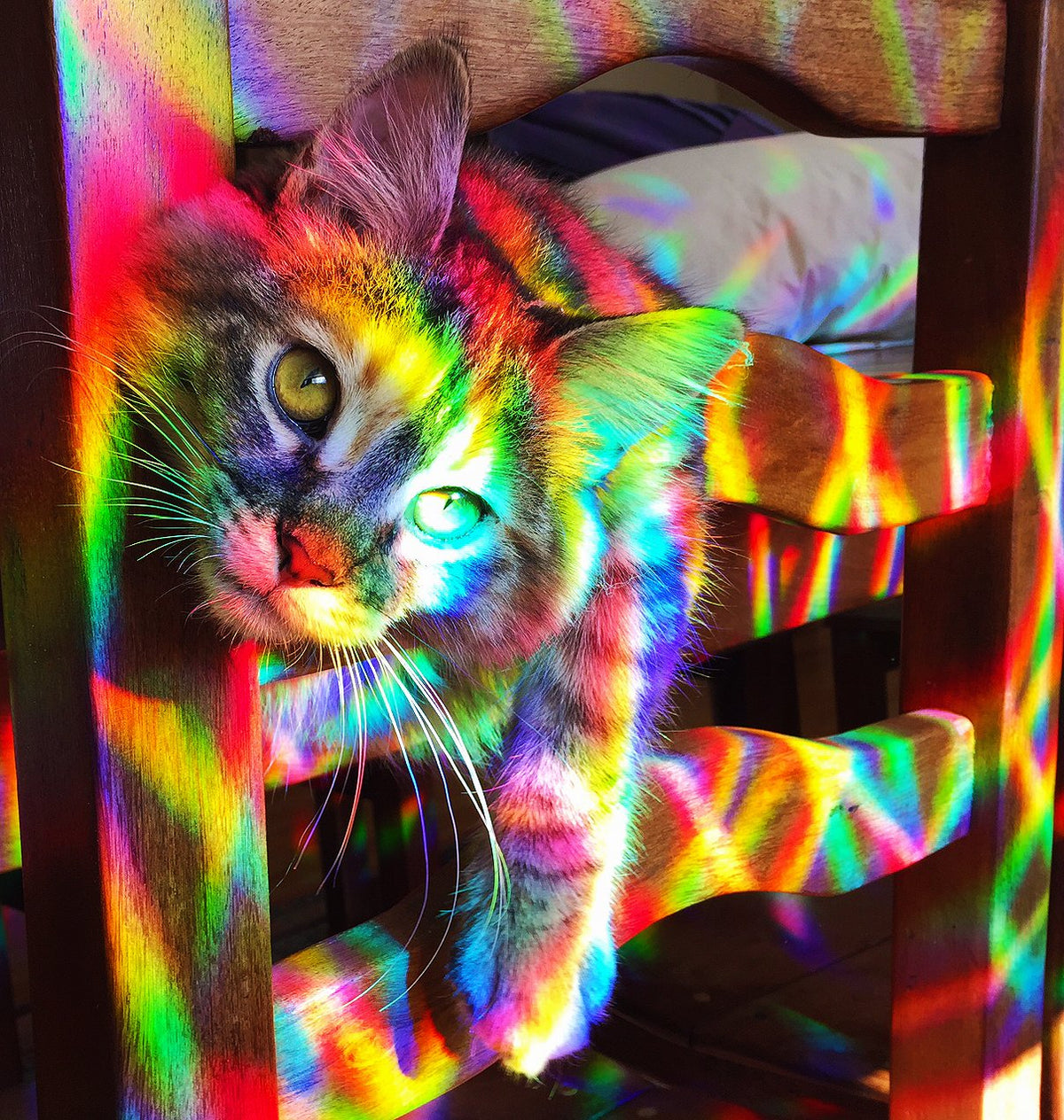 Rainbow Symphony axicon prism enhances photography with dreamy rainbow light through windows.