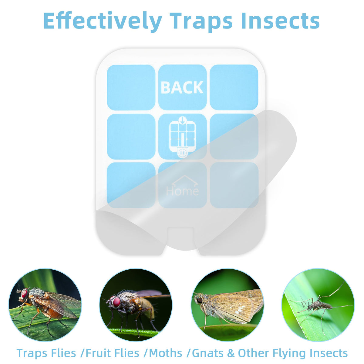Easy peel-and-insert installation for Raindot trap refills