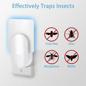 Raindot DT3005W refill, seamless fit for indoor fly traps.