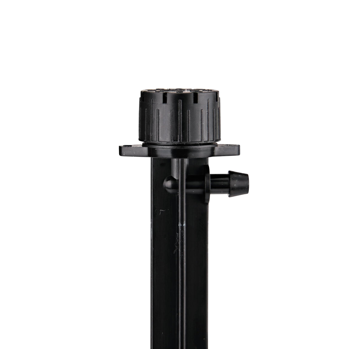 Raindrip 5-inch stake shown during installation for root-zone watering.
