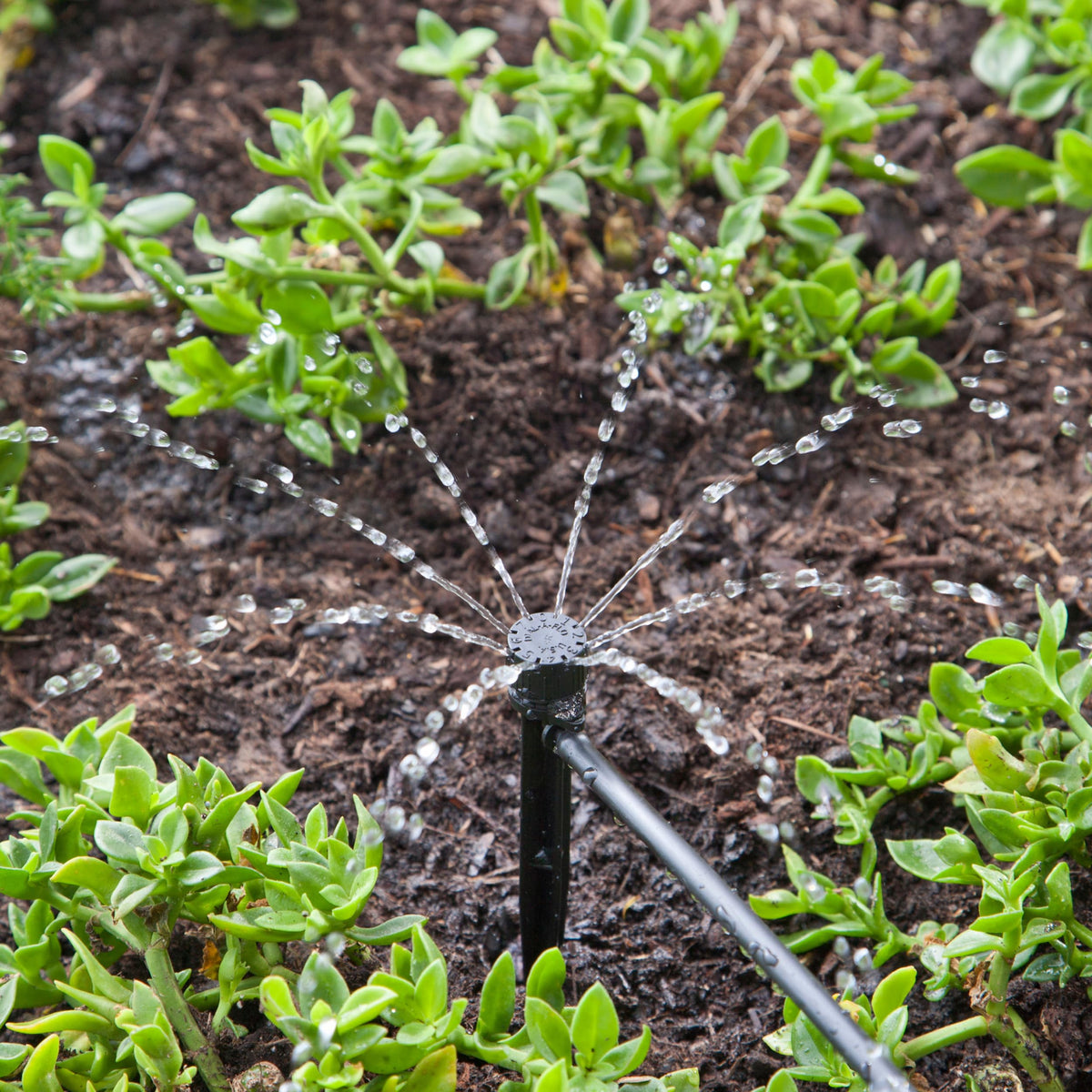 Raindrip 5-pack bubbler kit for scalable irrigation.