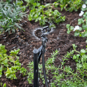 Raindrip A184010B 10-32 NFT inlet sprinkler for easy drip irrigation setup.