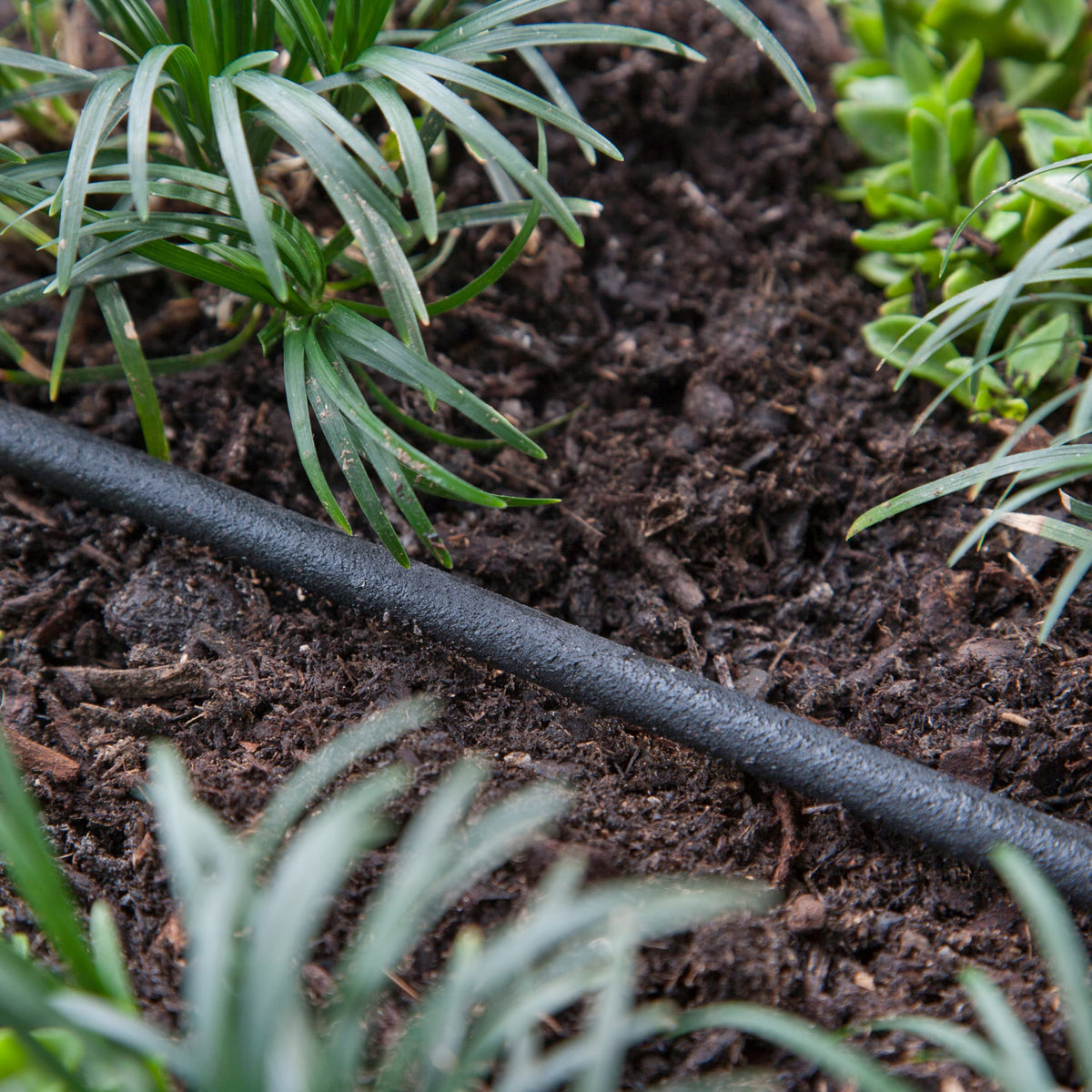 Raindrip tubing suits vegetable gardens with flexible bends for root-zone hydration