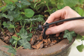 Raindrip R560DP complete kit for easy installation and reliable watering