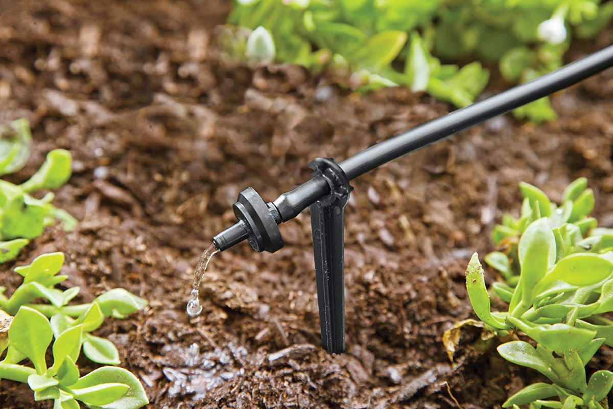 Raindrip R560DP tubing hold-down clamps tidy the setup