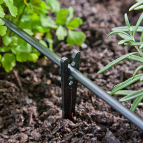 Raindrip stake installation demonstrates a simple setup to secure drip tubing.
