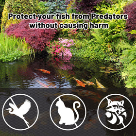 Rainleaf koi pond netting protects koi from predators like herons.