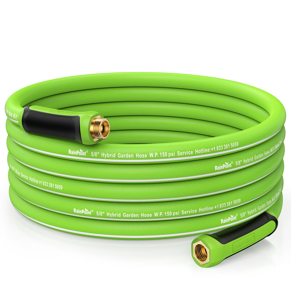 RAINPOINT Garden Hose 50ft, coiled neatly for storage and ready watering.